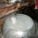 xgi Xin ChaoiV`Ij